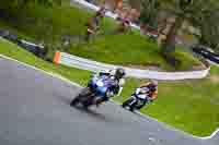 anglesey;brands-hatch;cadwell-park;croft;donington-park;enduro-digital-images;event-digital-images;eventdigitalimages;mallory;no-limits;oulton-park;peter-wileman-photography;racing-digital-images;silverstone;snetterton;trackday-digital-images;trackday-photos;vmcc-banbury-run;welsh-2-day-enduro